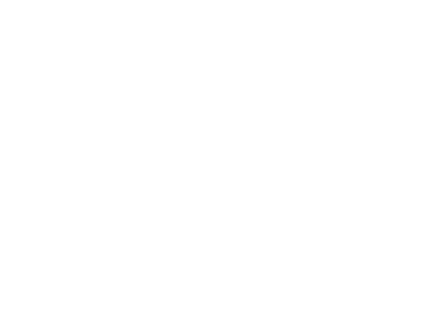 Angelo Cappelini